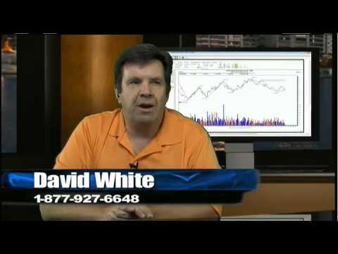 January 31st Power Trading Hour with host David White - 2013