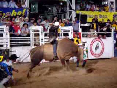 adriano moraes x Tambau.mpeg