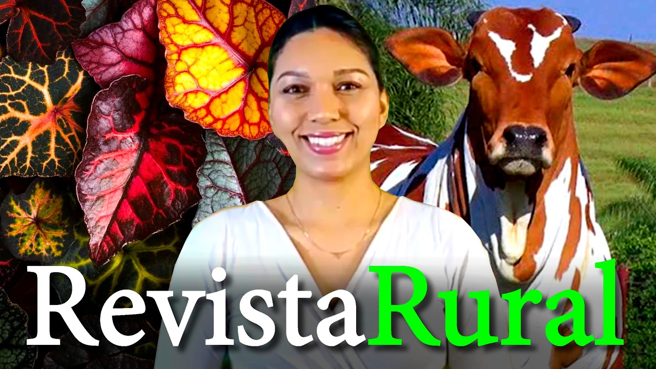 PROGRAMA REVISTA RURAL - 13/09/2026