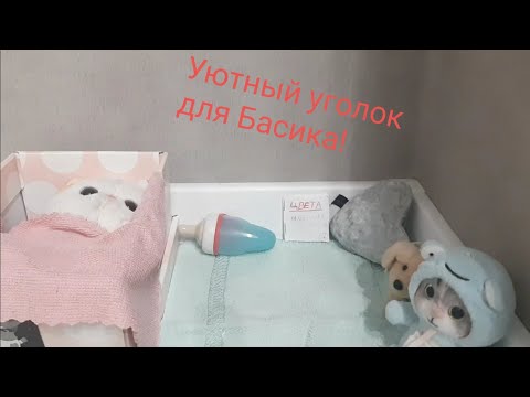 ❤Как сделать уютный уголок для Басика❤Новое хобби Басика❤