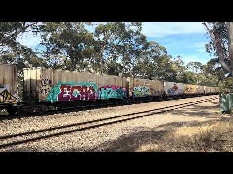 SCT 6PM9 C class transfer