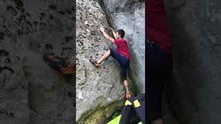 Video thumbnail de Schimmel-Kante, 6a. Magic Wood