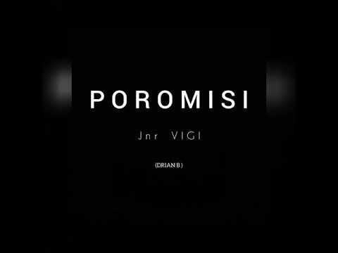 JNR VIGI - Poromisi
