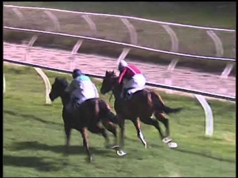 Galoppo 02/01/2015 - 5° corsa