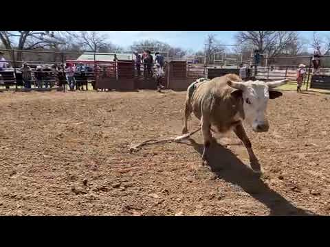 Cash Money Bull Riding April 2nd Round Two LIVE 🔴