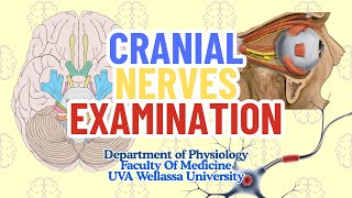 Cranial Nerve Examination: Step-by-Step Clinical Guide