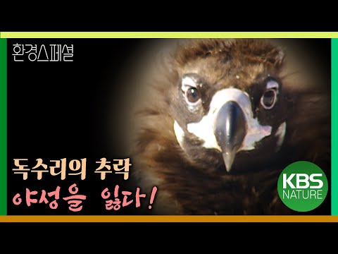 동물들의 생존 본능이 인류를 살리다