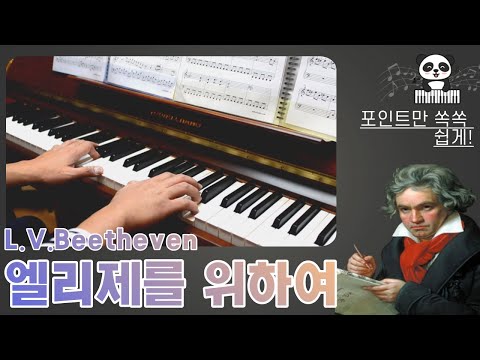 엘리제를 위하여 영상