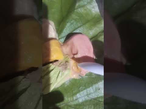 ice cream🤤🤤🤯🍨🍨🍧