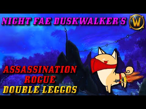 Assassination 9.2 Double Legendary Build: Duskwalker's Onslaught (EZ Mode ST/Burst Damage)