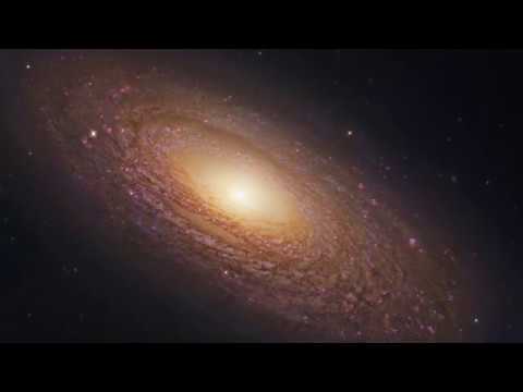 Im Anfang war das Wort