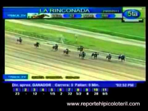 Resumen Domingo 29 de Mayo de 2011 - La Rinconada