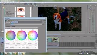preview picture of video 'Color Corrector Effect Vegas Pro12'