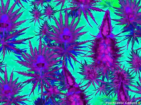 KANSAS CITY EXPRESS - THIS IS THE PLACE x droopytx rmx