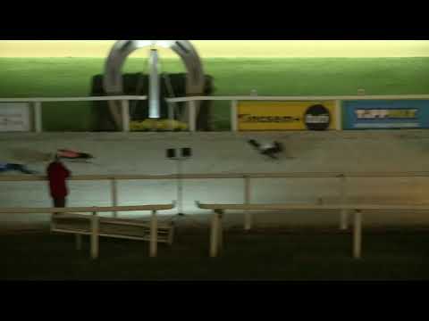 2017.10.06. 7. futam - Agár verseny