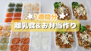 (1週間分)離乳食&冷凍お弁当作り/vlog