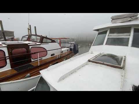 Dutch Barge 40ft Live aboard Barge - Boatshed - Boat Ref#306602