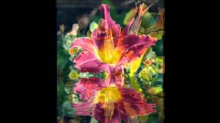 Il Divo   En Aranjuez Con Tu Amor