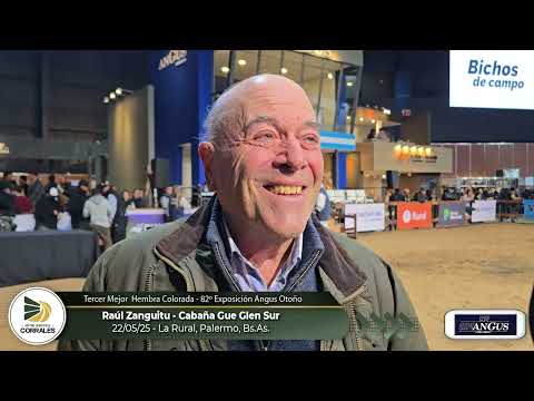 22-05-25 -  Raúl Zanguitu - Cabaña Gue Glen Sur - 3º Mejor Hembra Colorada en la 82º Expo. Angus