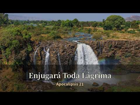 Enjugará Toda Lágrima (Apocalipsis 21) | Alabanza Católica p…