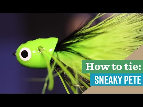 download lagu mp3 mp4 Sneaky Pete Fly, download lagu Sneaky Pete Fly gratis, unduh video klip Sneaky Pete Fly