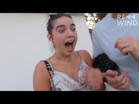 VLOG SQUAD BEST MOMENTS [PART 77]