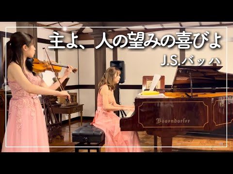 Jesu, alegría de desear del hombre