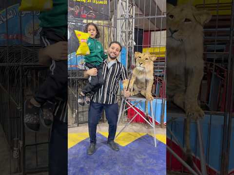 تاكل شيبسي ولا لحمة!؟😱😱