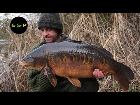 ***Thowback Tel Day Special***