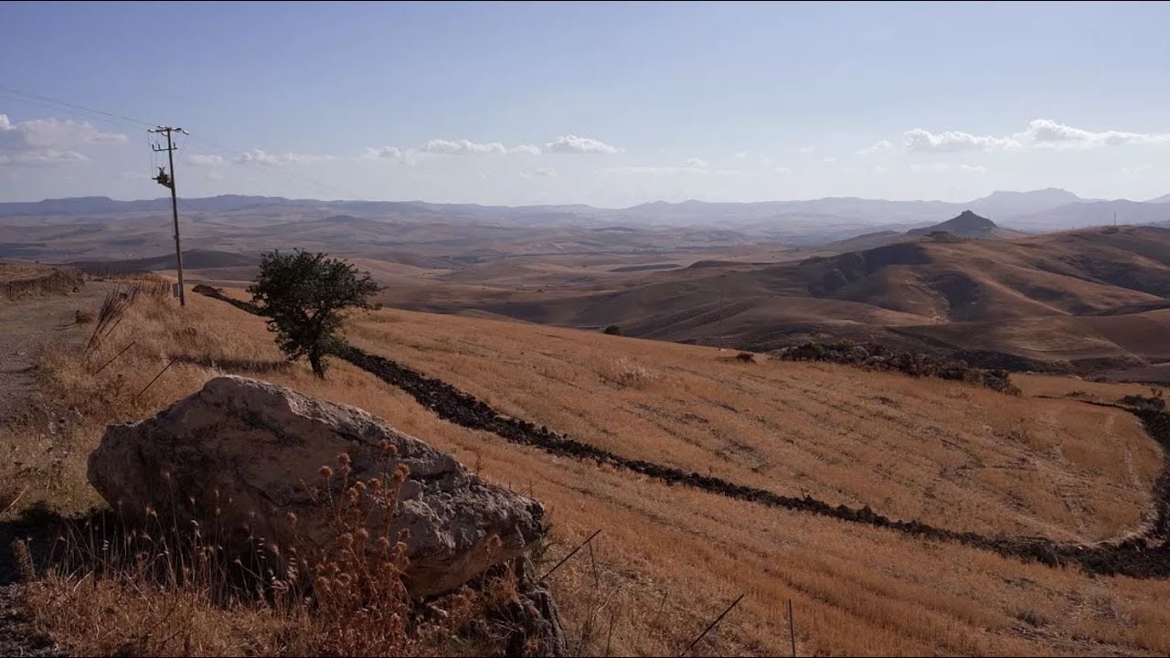 გვალვა, გაუდაბნოება და სითბური ტალღები - კლიმატის კრიზისი სიცილიაში