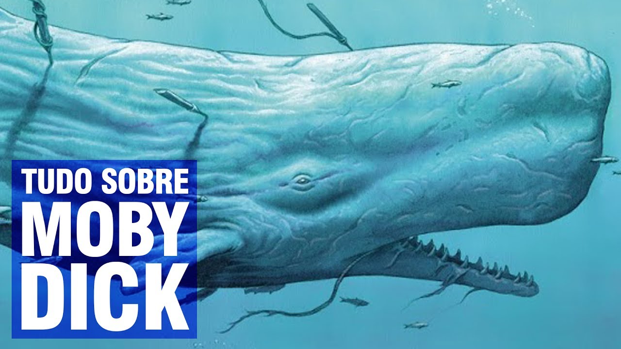 Entenda por que MOBY DICK é um clássico obrigatório | Pipoca e Nanquim #247