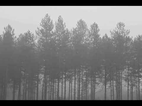 Adversus Semita - Pale Winter Moon