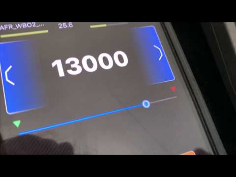 Honda CRF110R - Dyno Testing the 110cc Stock Bore Race Package - CJR Performance