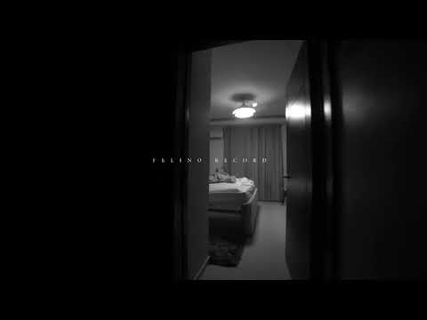 El Felino - Disfruto (Video Official)