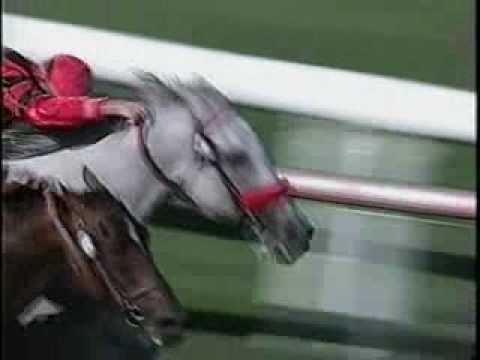 Gerson Racing- Star Over The Bay wins the G2 Sunset Handicap 7-18-04