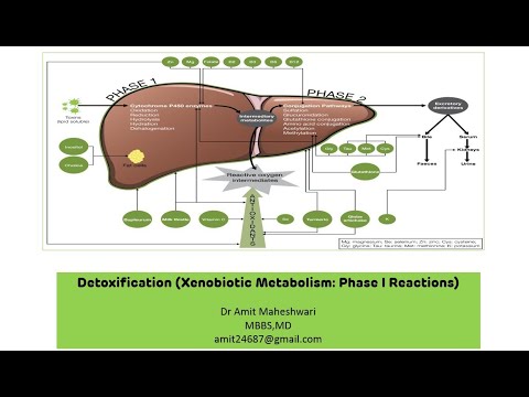 Xenobiotic Metabolism || Detoxification - Phase I Reactions || Biochemistry || Part 01
