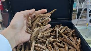 ثمن (125جرام) عود موروكي آسجي طبيعي محسن  (موحد الرائحة)