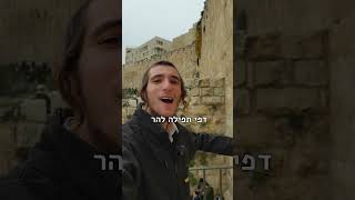 אלקנה וולפסון: אנחנו מתקדמים לבית המקדש #הר הבית (ישיבת הר הבית) - התמונה מוצגת ישירות מתוך אתר האינטרנט יוטיוב. זכויות היוצרים בתמונה שייכות ליוצרה. קישור קרדיט למקור התוכן נמצא בתוך דף הסרטון