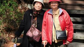 武陵農場櫻花🌸2015年2月17日星期五🌤️