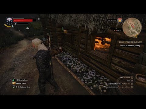 The Witcher 3: Wild Hunt - alchemy glitch