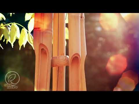 Suara hiasan gantung bambu syahdu pengantar tidur dan meditasi | Bamboo ASMR