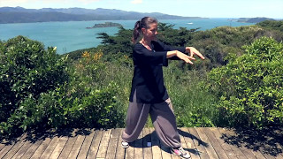 Tai Chi 5 Minutes a Day   Module 01 - easy for beginners