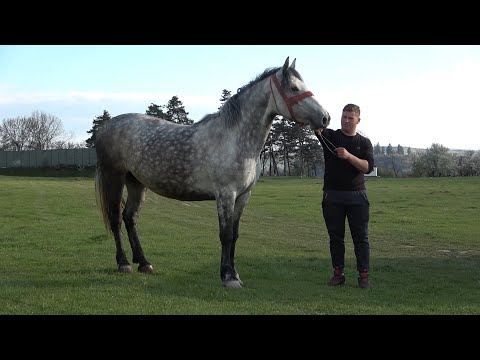 In vizita la Bob de la Cuzdrioara, Cluj cu Panciaca si Catalin - 2021 Nou !!!