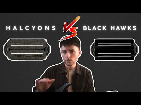 Bare Knuckle Halcyons vs Black Hawks | Pickup Shootout