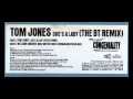 Tom Jones - She's A Lady (BT Mix)(2000) 