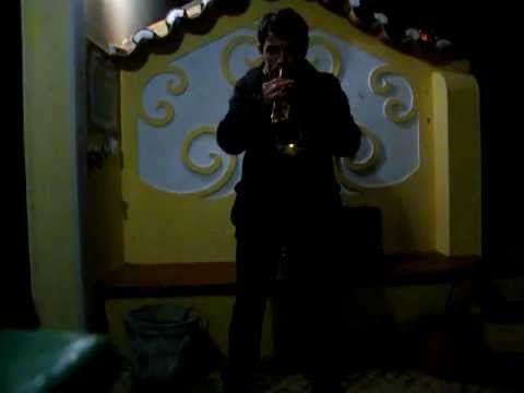 toque entrada de forcados - joao ribeiro