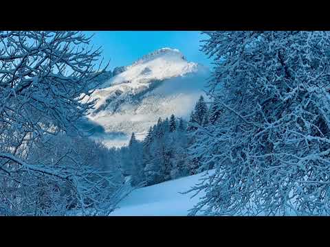 Chalet Blanc Short Tour