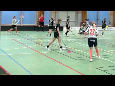 Highlights Dam Div.1 Skåne Åstorp/Kvidinge IBS - FBC Engelholm 4-4