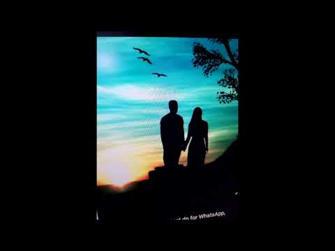 Vim Kuv Tsis Yog Tus Koj Niam Lawv Xaiv.