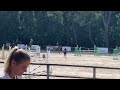 Hongre 9ans - Super coup de saut